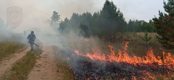 Как справиться с природными пожарами в Приамурье?